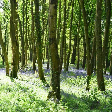 Bellurgan Park *